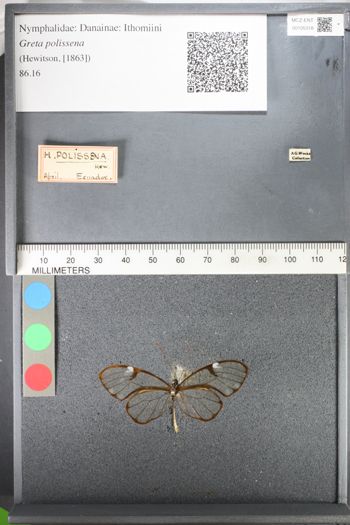Media type: image;   Entomology 105318